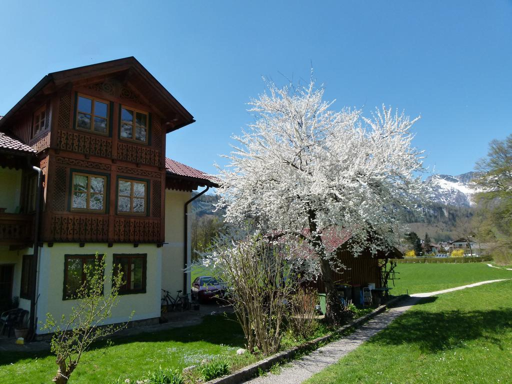 Appartement Haus Puntigam à Bad Goisern Extérieur photo