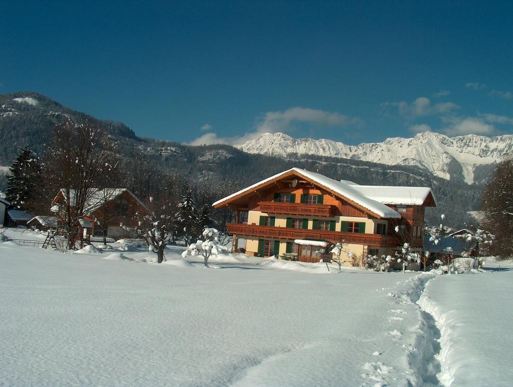 Appartement Haus Puntigam à Bad Goisern Extérieur photo