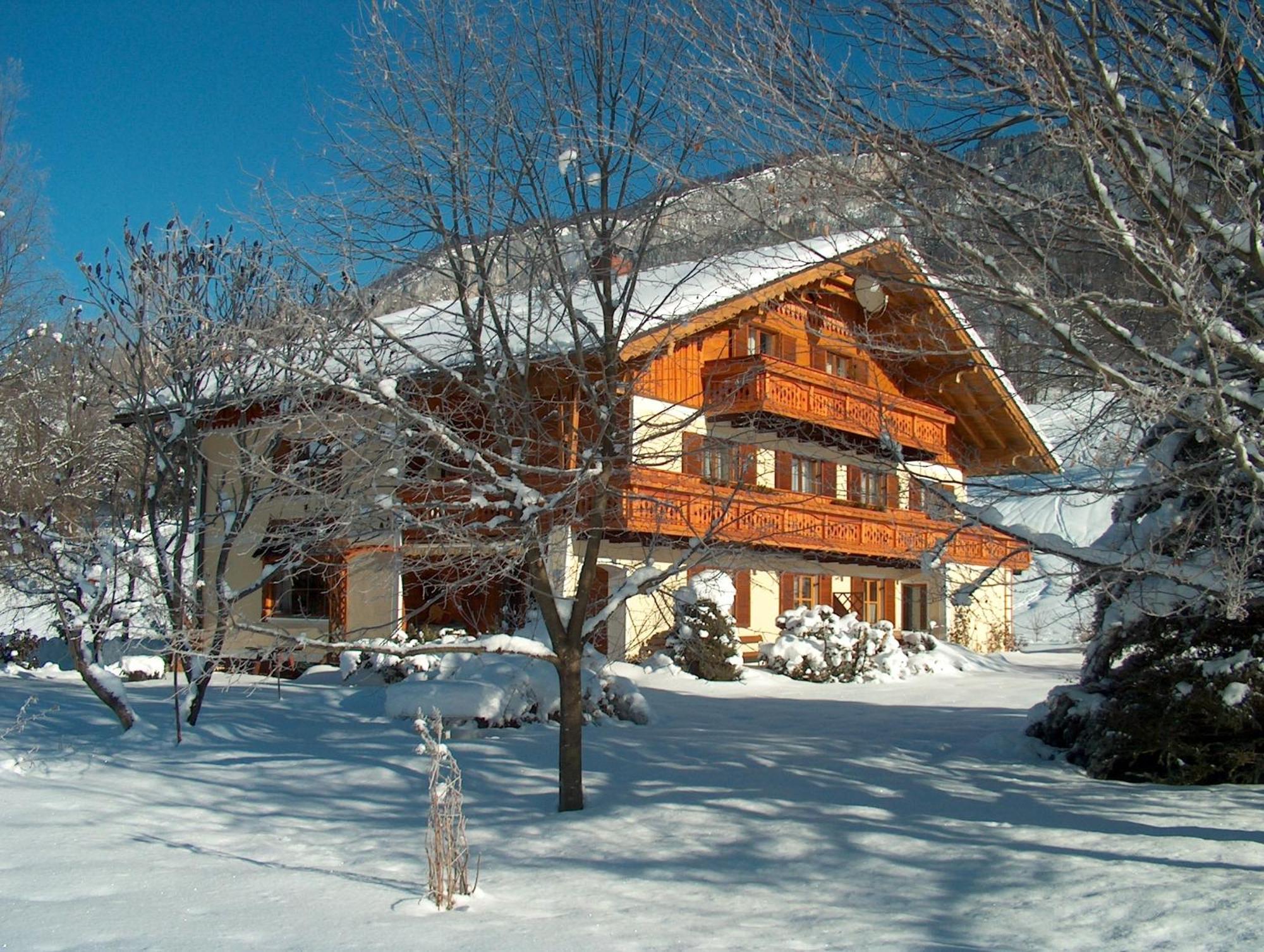 Appartement Haus Puntigam à Bad Goisern Extérieur photo